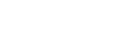 TU Delft Robotics Institute